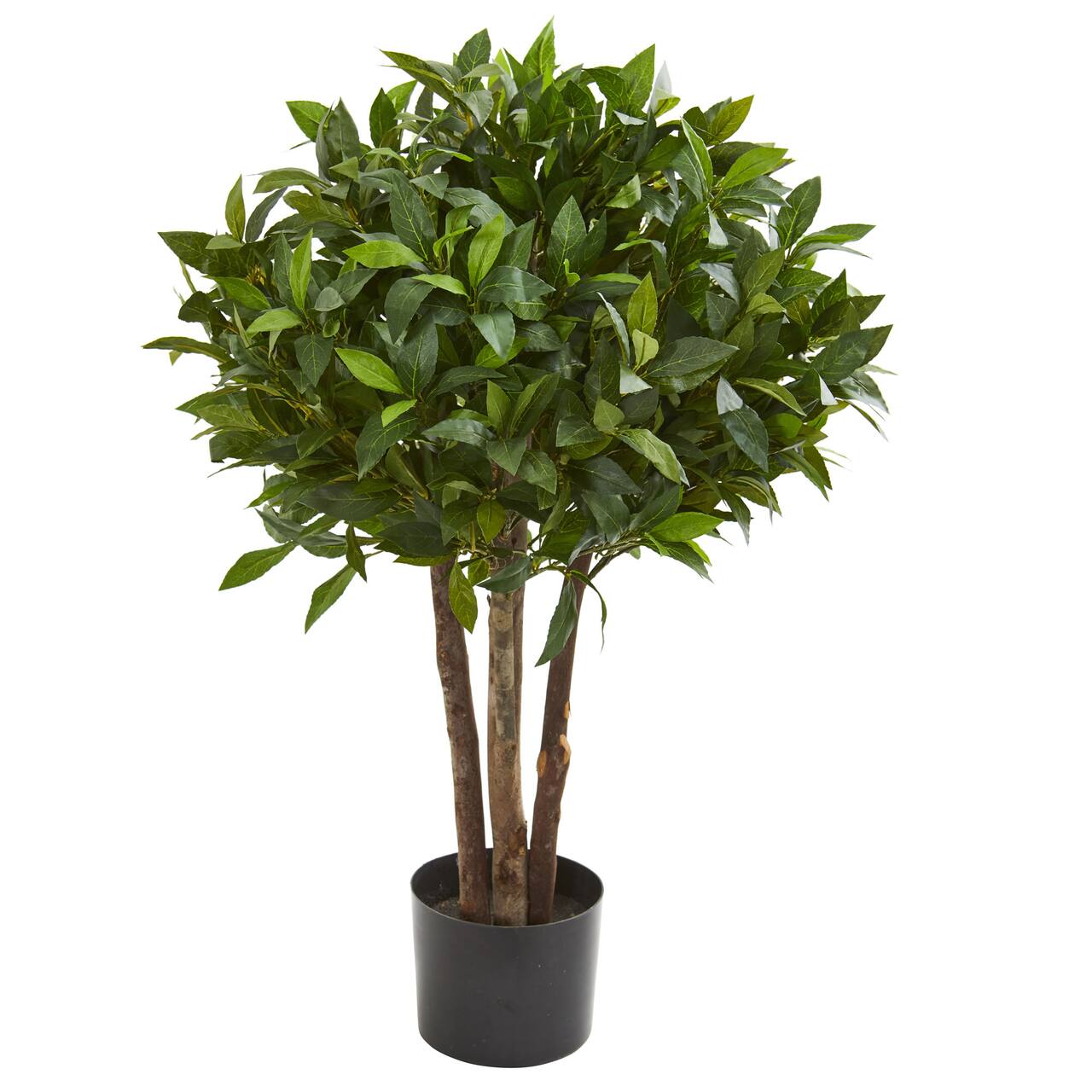 3ft. Potted Bay Leaf Topiary Tree